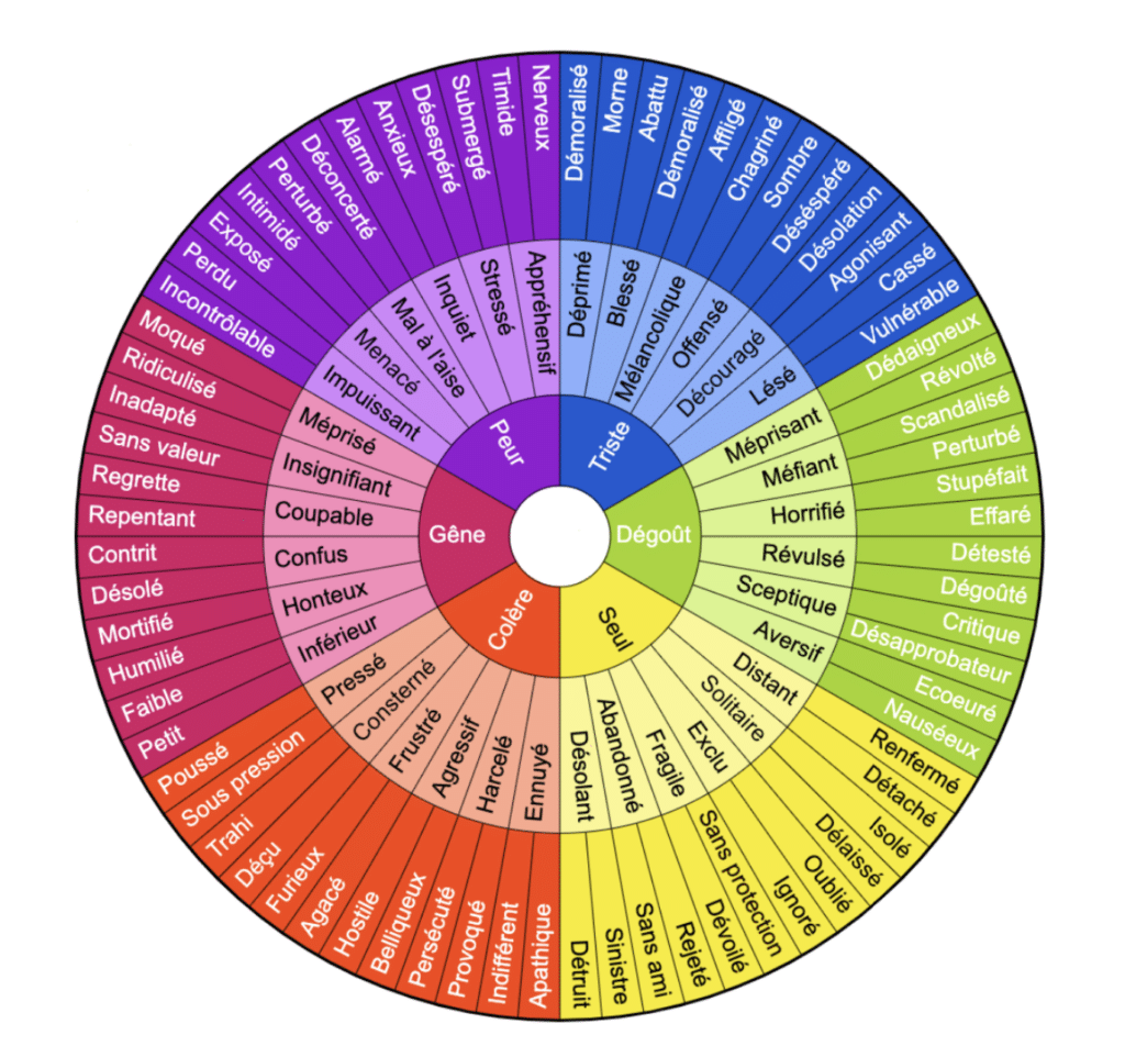 est un graphique en forme de cercle représentant 6 émotions primaire (gêne, peur, triste, dégoût, seul, colère) et les émotions associées.